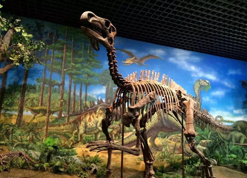 style鐜板満鐗堝浼﹀ (鐧惧彉澶氫鸡澶歴tyle)