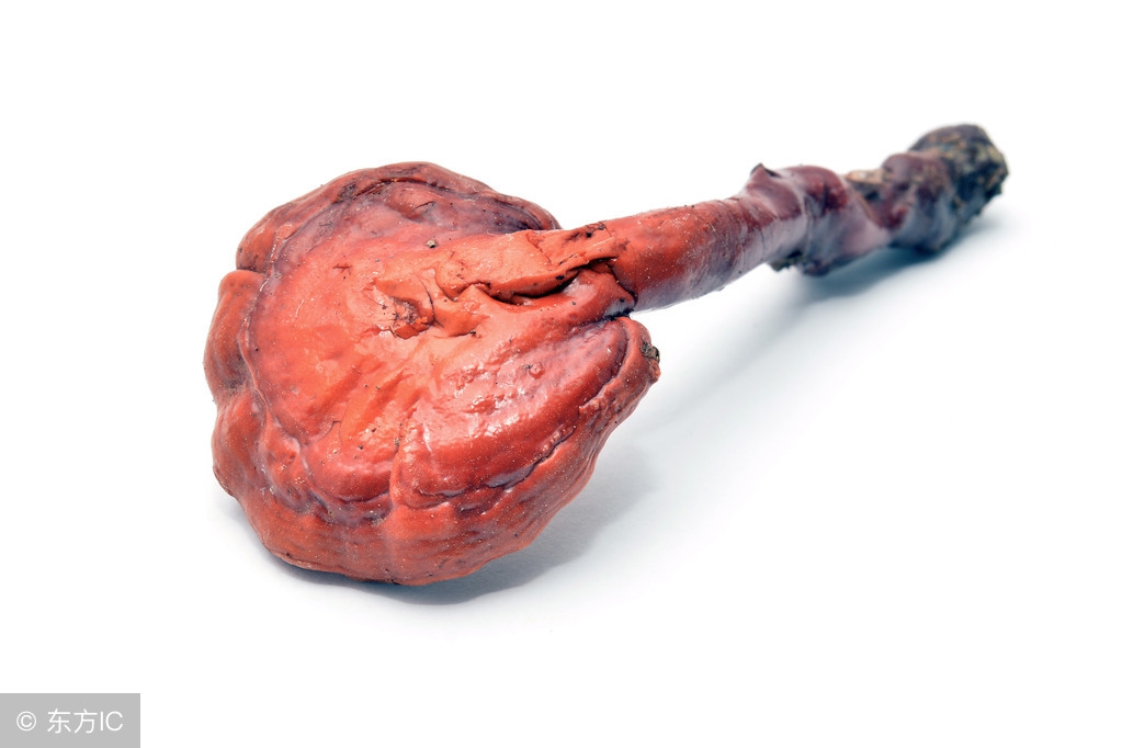 灵芝孢子粉怎么区分是否破壁,灵芝粉和灵芝孢子粉可以同时吃吗