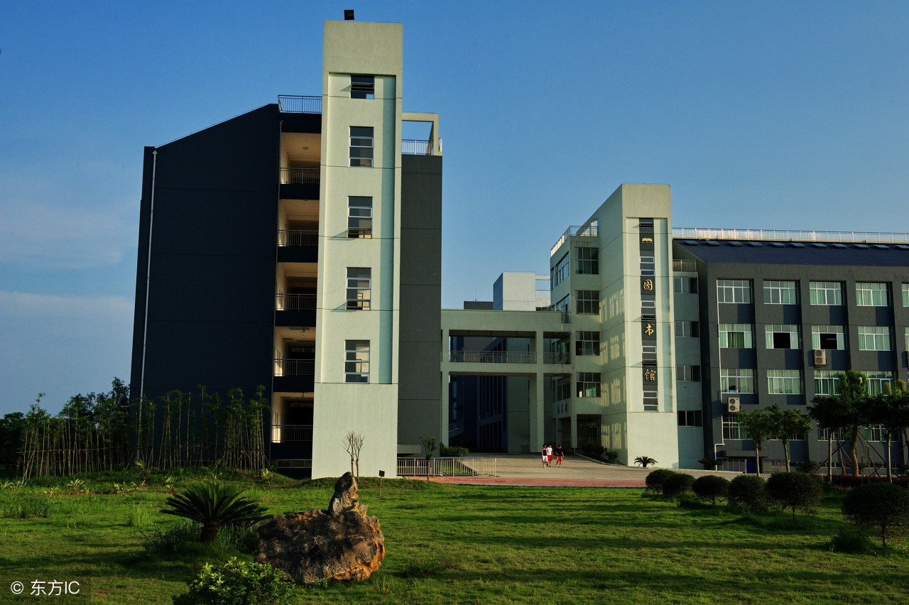 2019西南大学体育单招录取公示,2019年体育单招考试题