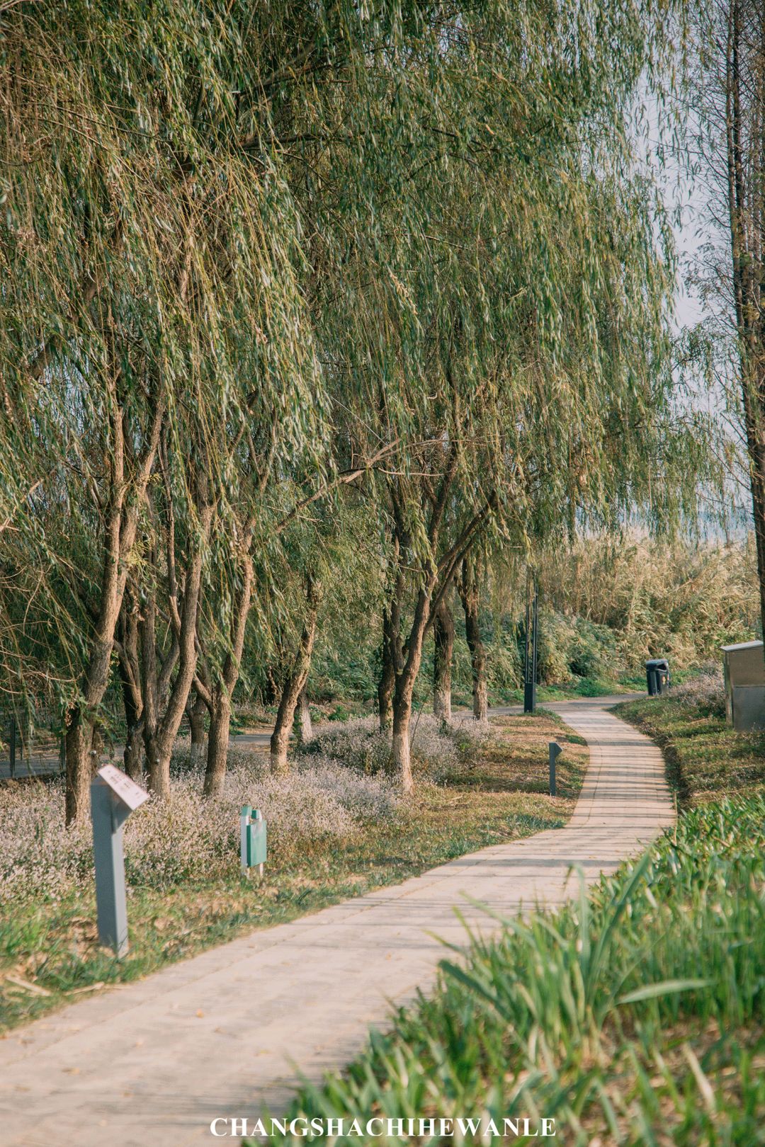 长沙放空自己去哪里,五一长沙人去哪儿玩推荐