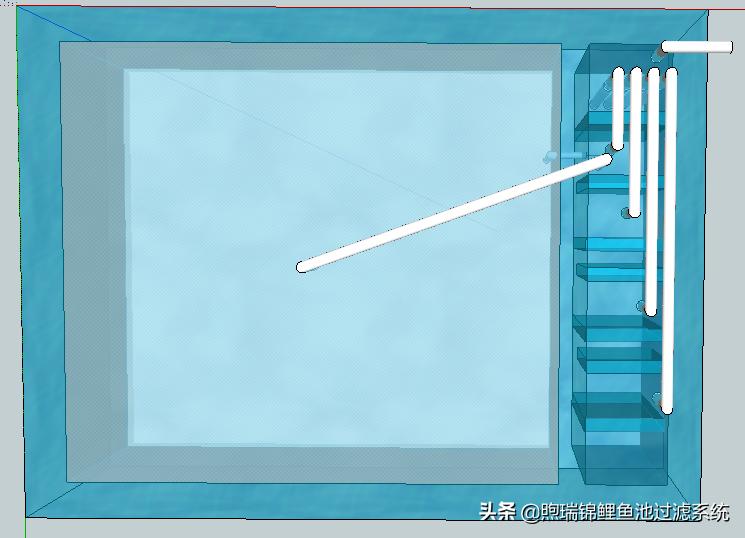 锦鲤露天鱼池生态沼泽过滤系统,锦鲤鱼池过滤系统多长时间清洗