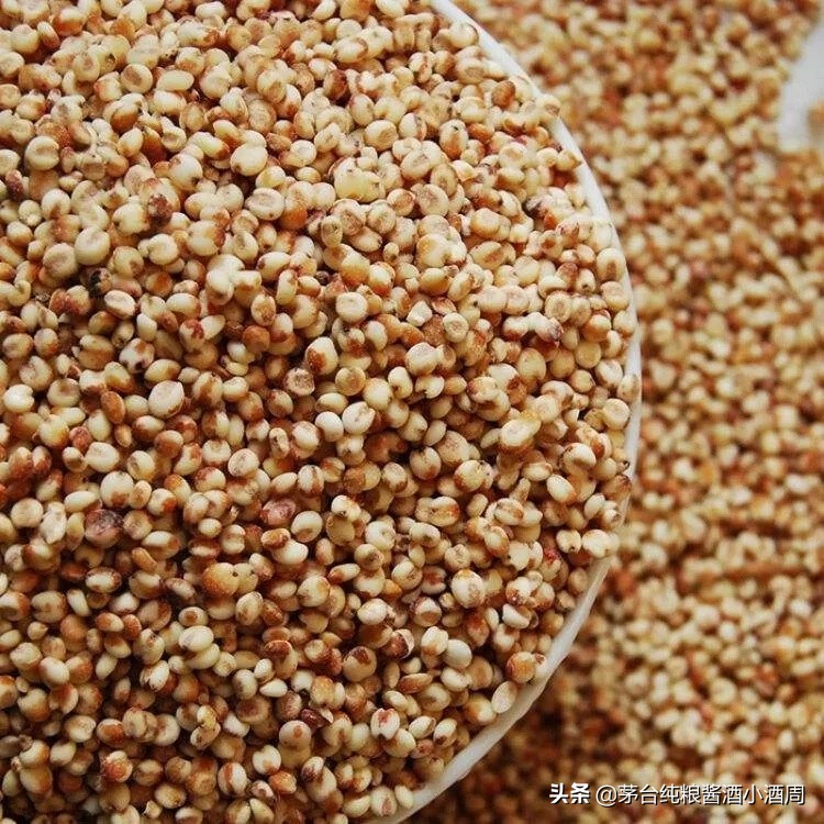 喝一点酱香酒就犯困是假酒吗,喝酱香酒刺激胃吗