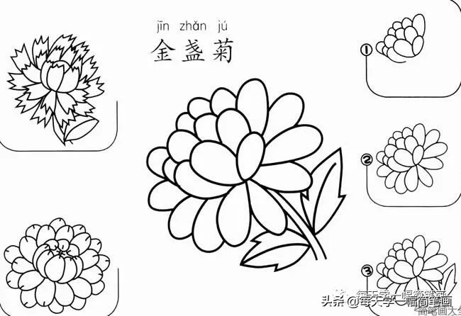 每天一幅简笔画的小教程,简笔画花朵的画法茉莉花