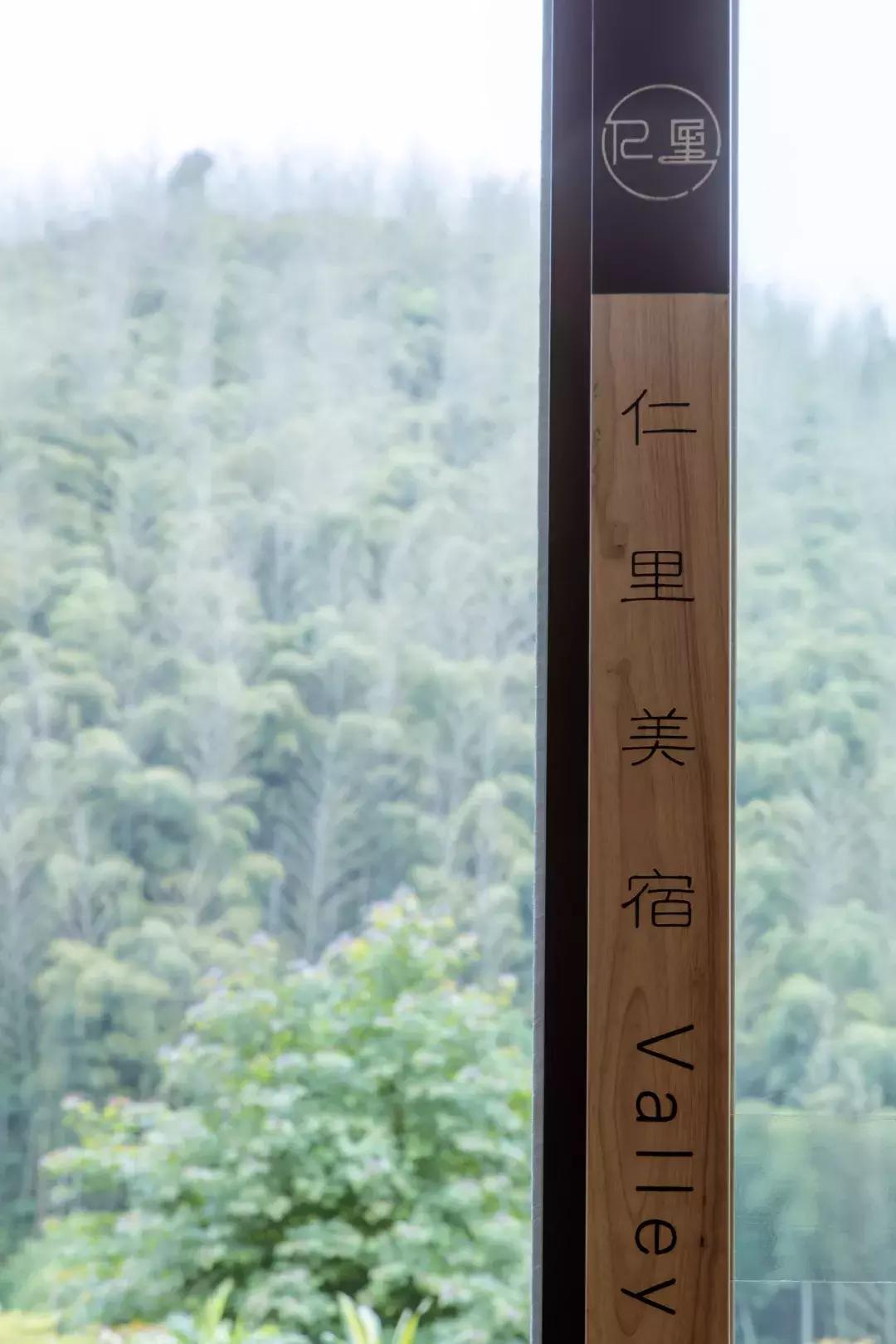 深山废弃的五星级酒店,一个被7万亩竹海包围的树屋酒店