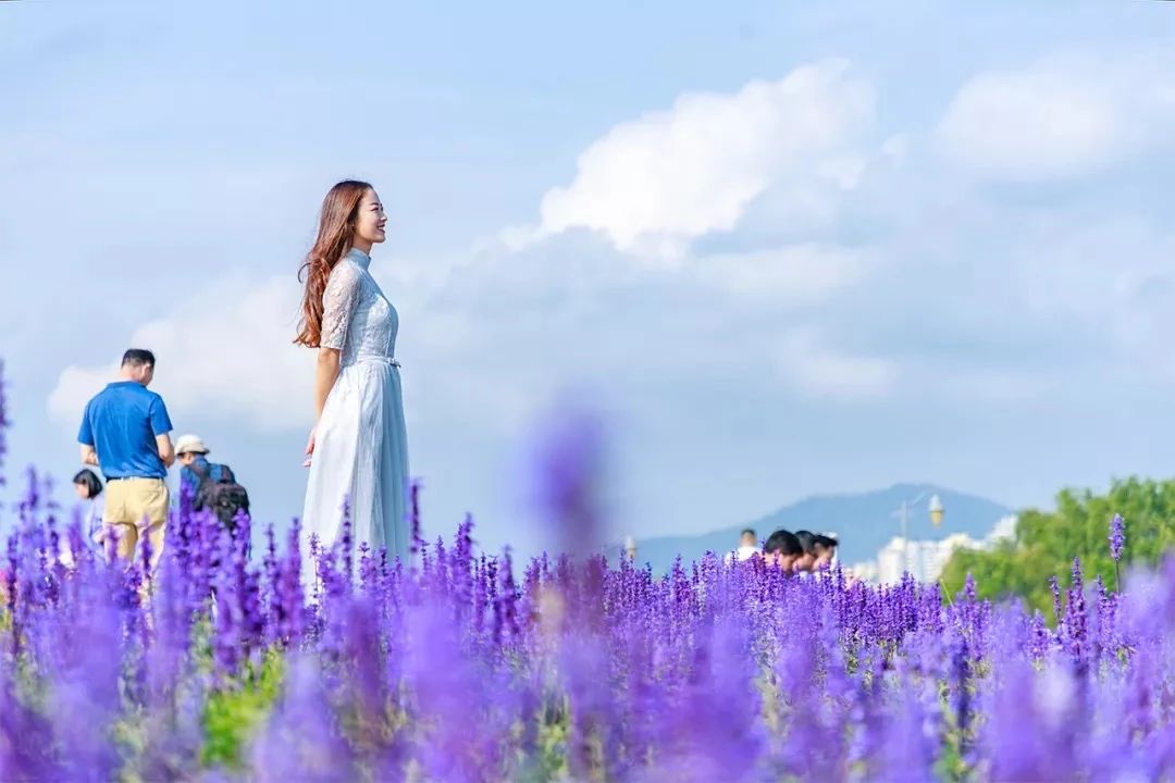 深圳周末浪漫好去处,深圳浪漫约会地点十个景点