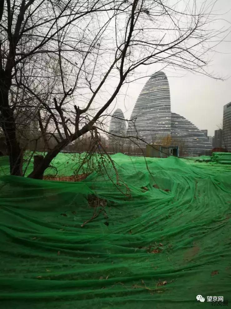 「今日望京」国际商业中心中庭广场提升改造；邻家便利店重新营业