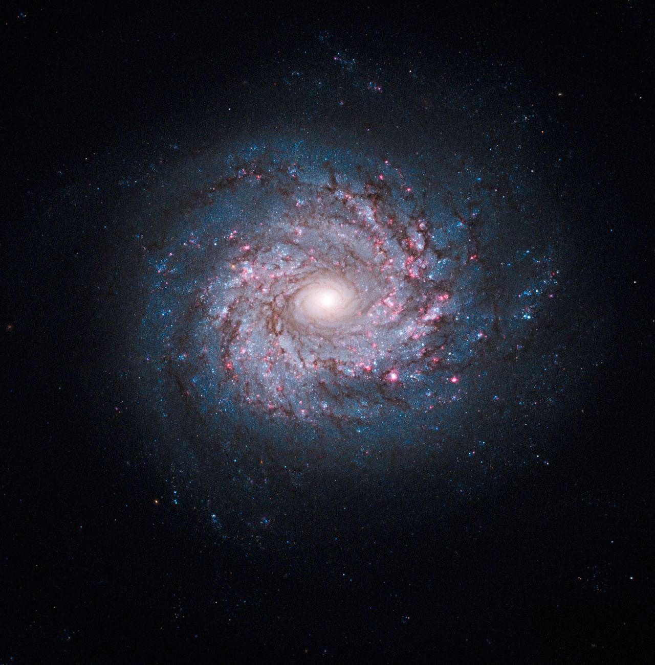 漩涡星系和螺旋星系有什么区别,漩涡星系为什么会转成螺旋状