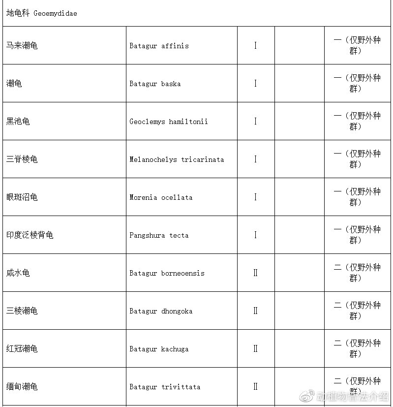匠志萌宠乐园教学,匠志萌宠