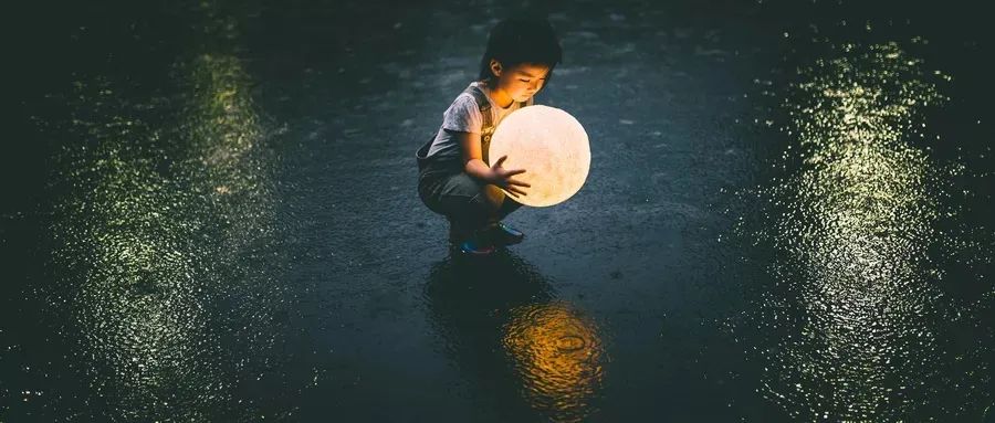 输不起的孩子也赢不了读后感,输不起的孩子往往也很难赢读后感