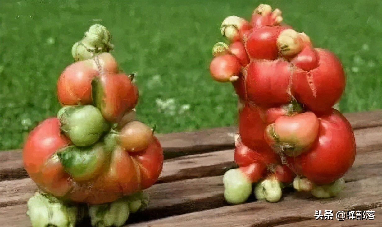 日本海水污染了中国海鲜还能吃吗,核污染入海日本民众看法