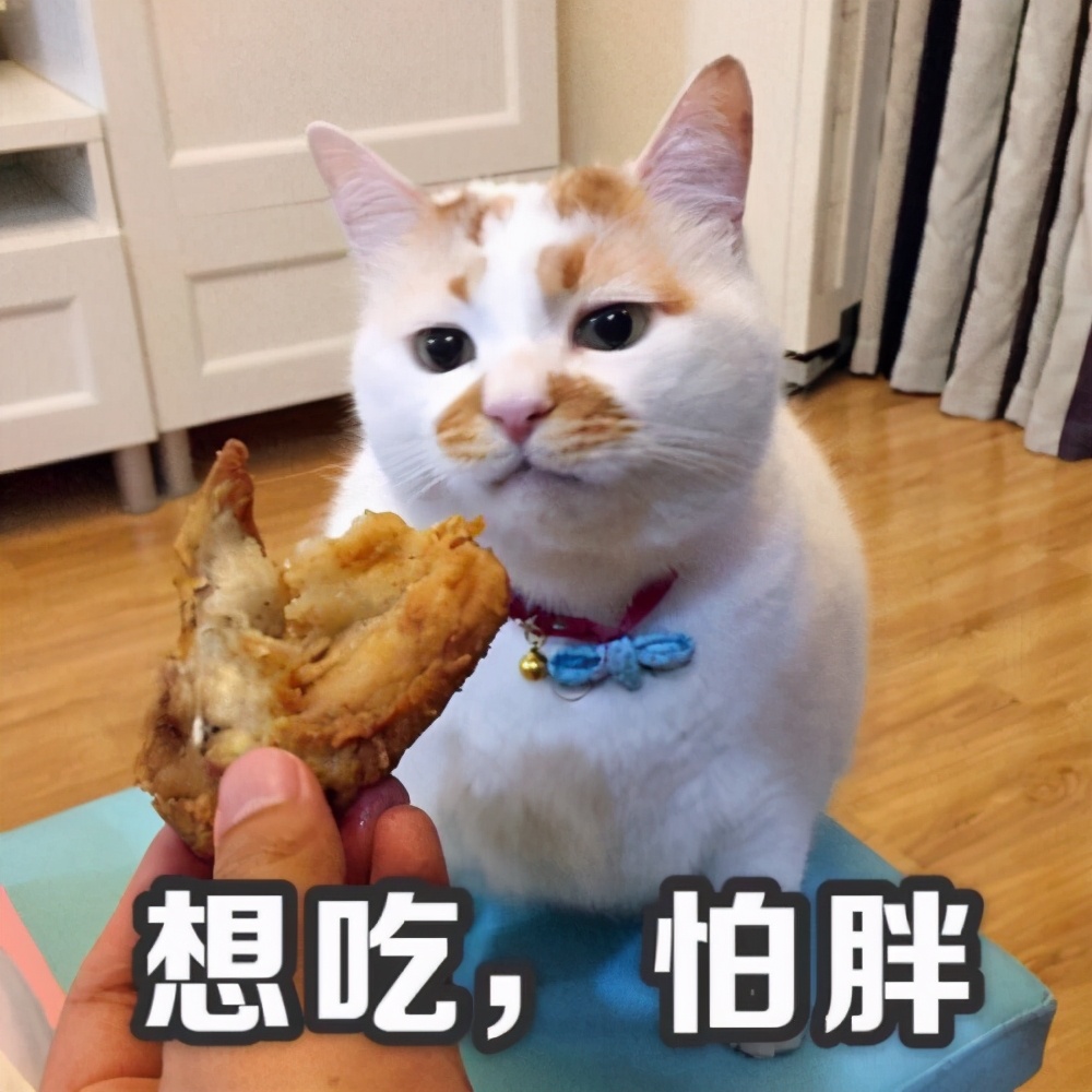 减脂期的低脂酱料推荐,好吃的减脂酱料推荐