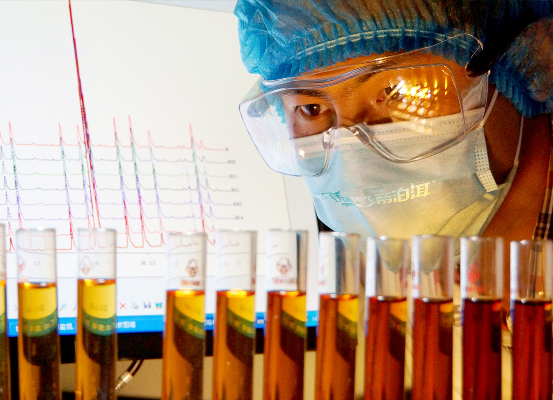 年轻人的第一款茶,年轻人的第1杯养生茶