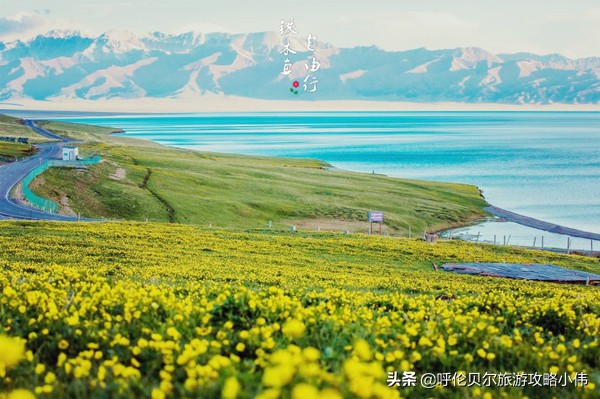 我和呼伦贝尔之间只隔一张火车票只需勇敢前行，梦想自会引路