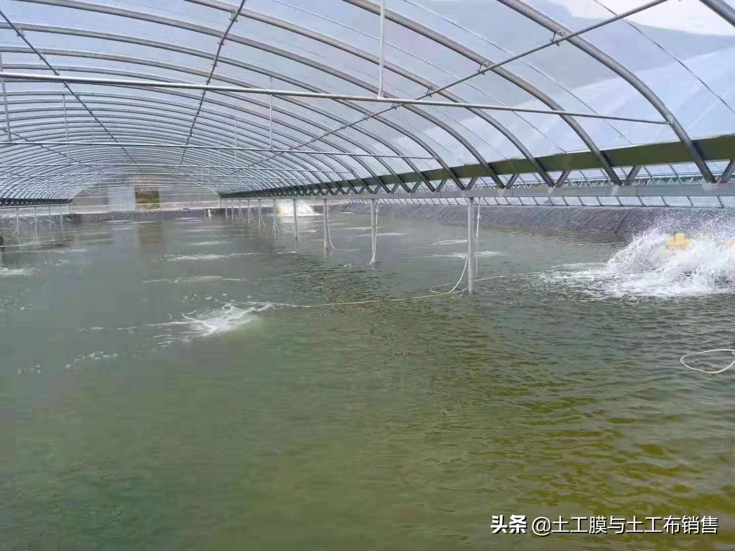 生态农业养殖价格表最新,绿色渔业养殖费用