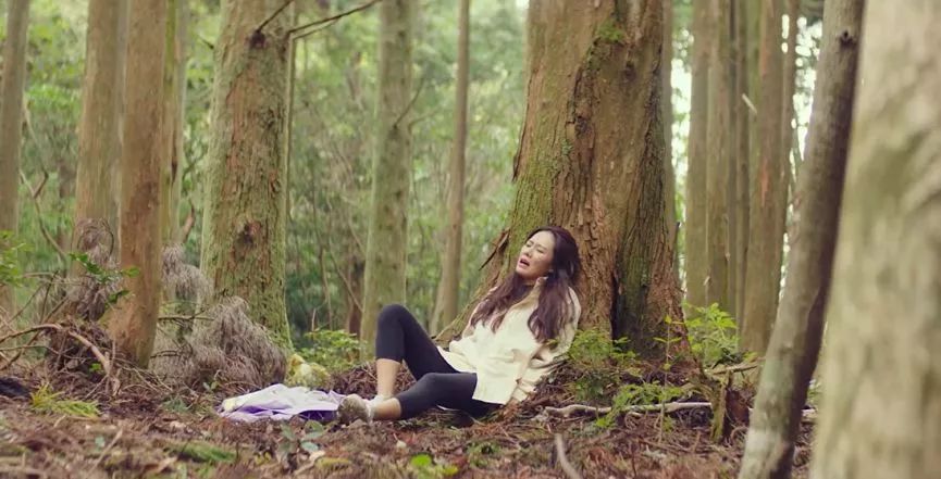 豆瓣8.4，南韩白富美爱上朝鲜官二代？光这对国民CP我也要给满分