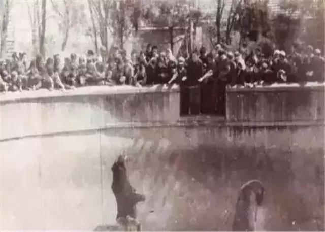 合肥人眼中的第一印象,合肥的第一印象