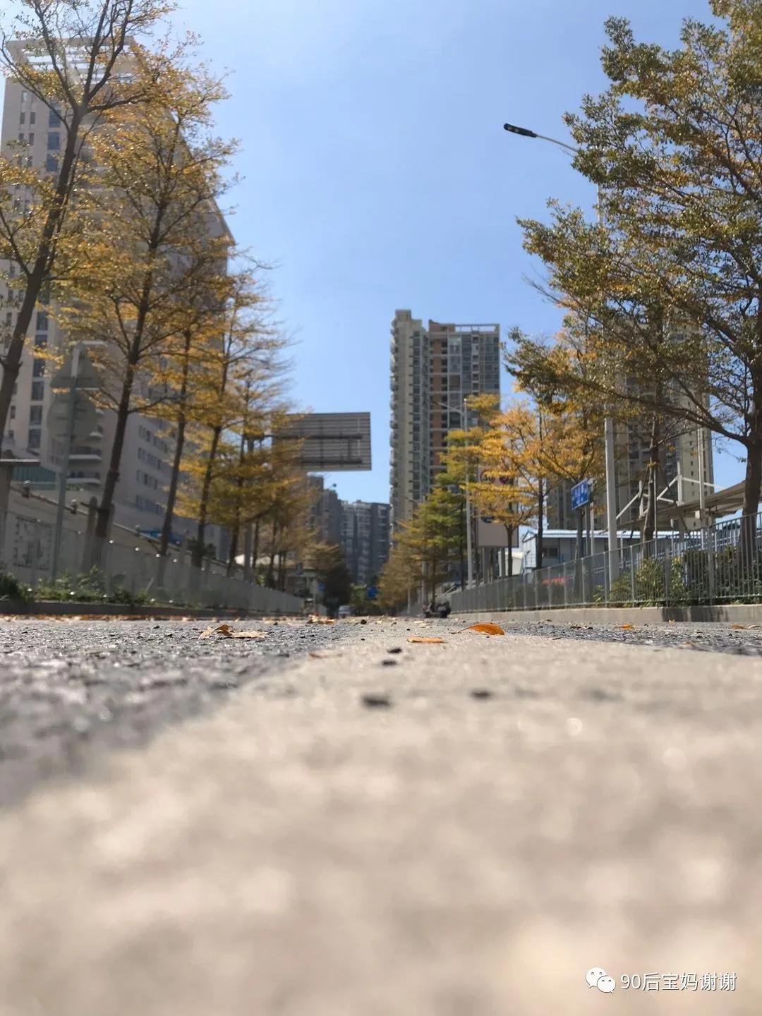 2020孕前检查,孕前必看知识