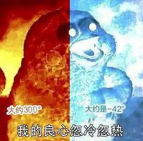 吃鸡要关注哪些东西的安全,吃鸡的忌口