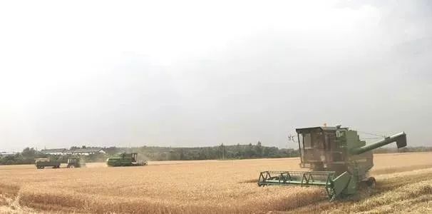 推动畜牧业绿色发展,推动绿色农业乡村振兴