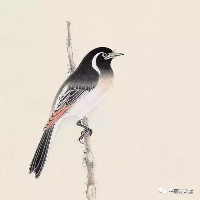 工笔画肌理特殊技法,工笔画技法讲解特殊技法篇