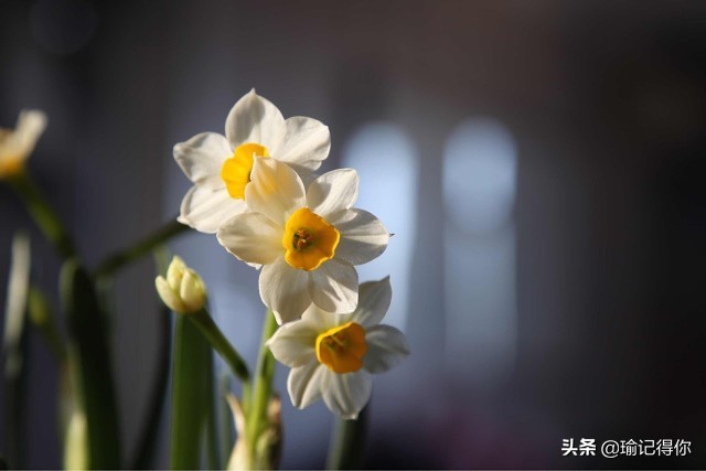 贵州小伙娶心爱的女人,贵州小伙子娶表妹