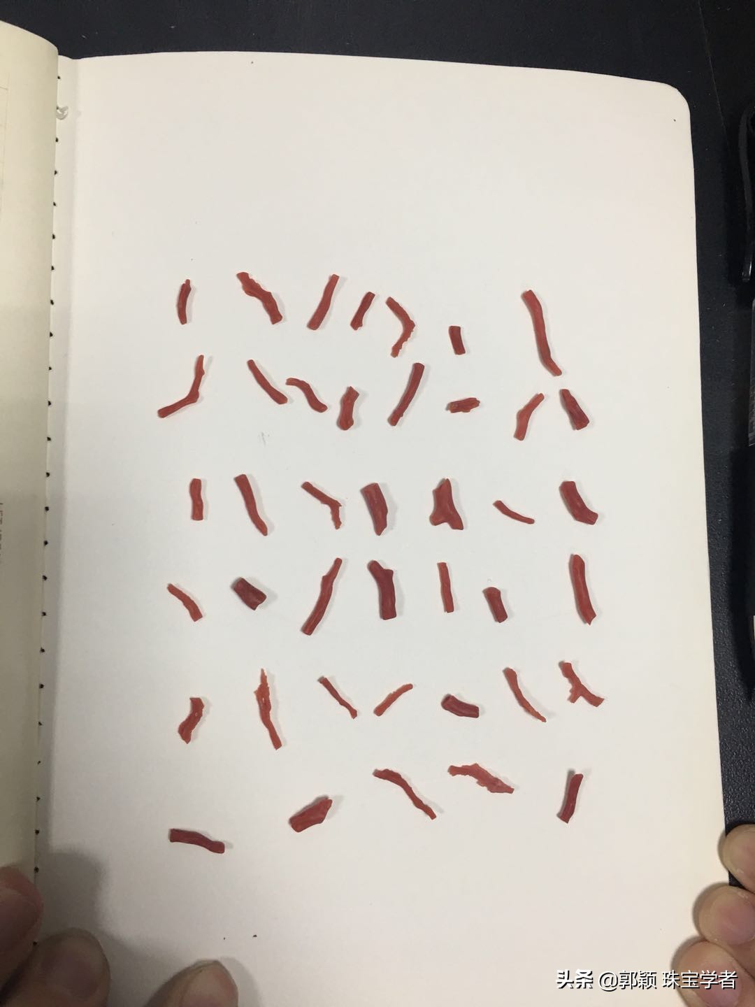 红珊瑚会褪色吗是真的吗,红珊瑚褪色的样子