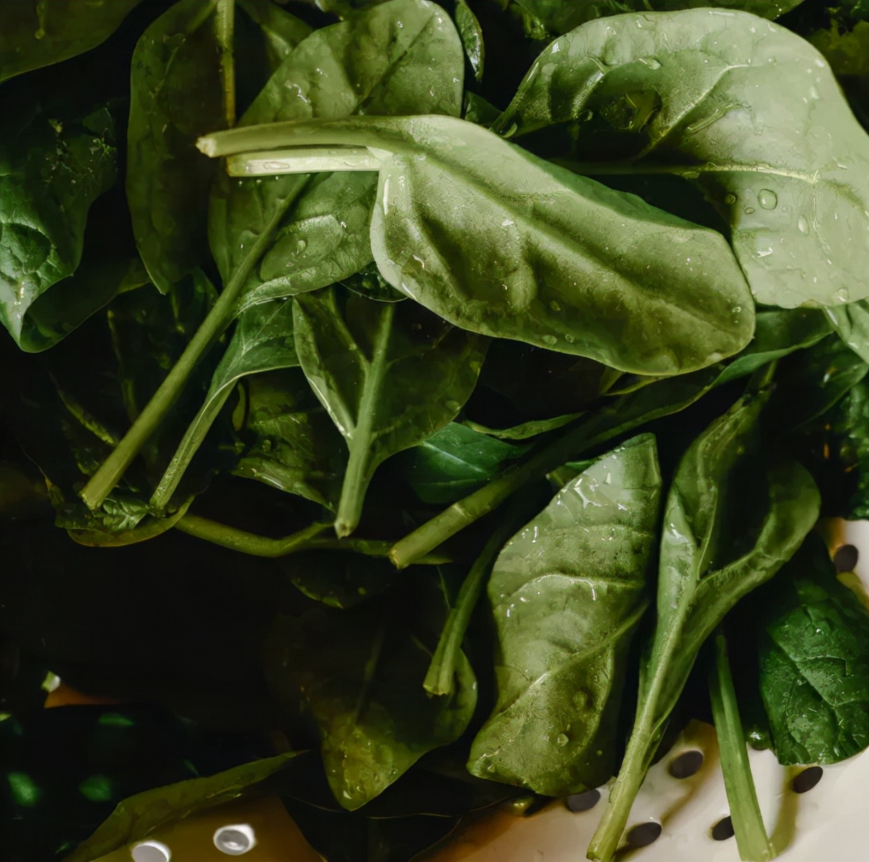 油性发质需要护发素吗,油性发质用什么洗发水