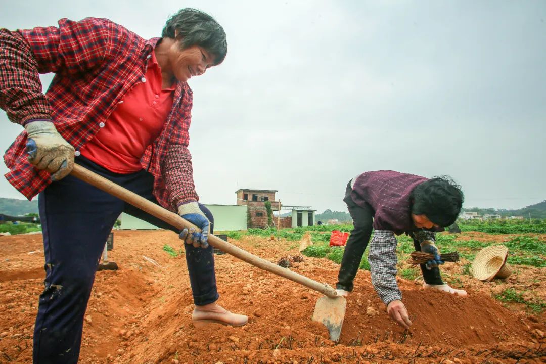 疫情防控不松劲项目建设不停步,防疫不放松复产不误
