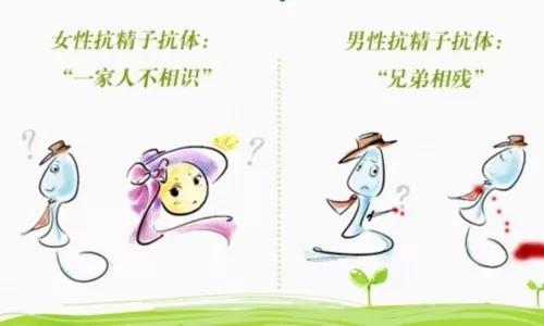 不孕不育抗体正常代表什么,不孕不育有必要查抗精子抗体吗