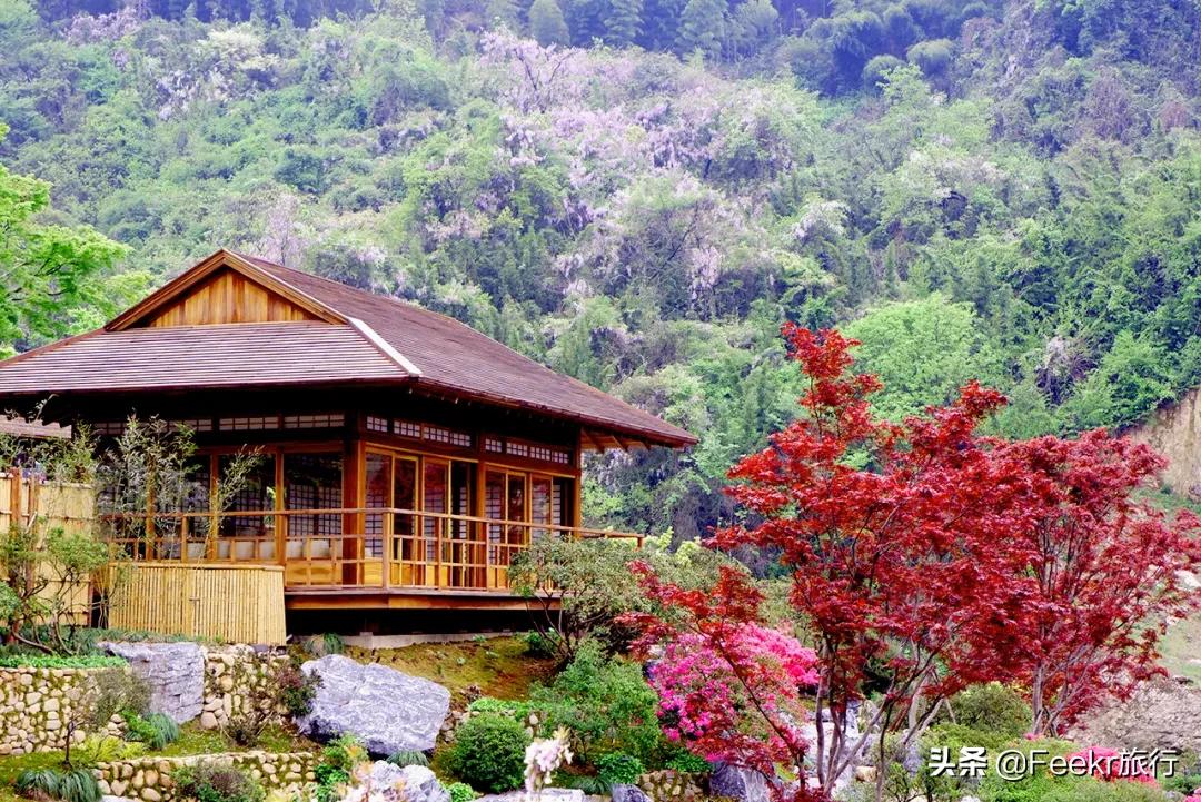 五一莫奈庄园一日游,五一不出游在家门口看风景
