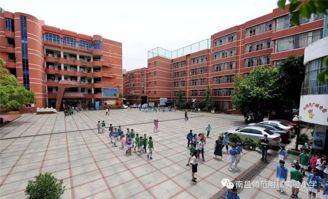 南师附小各校区排名,南师大附中新校区