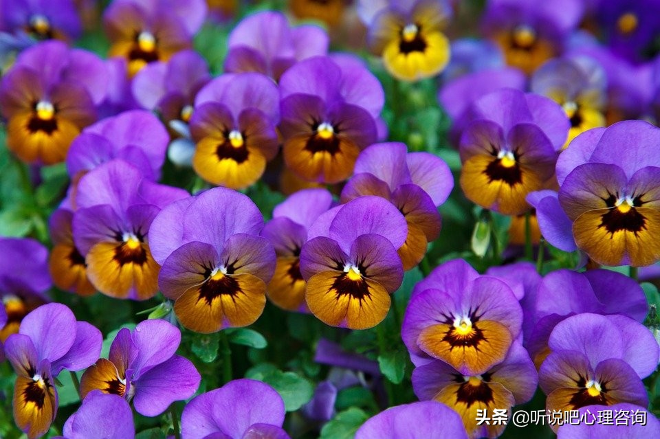 胸小的女生如何克服自卑,胸小怎么通过后天变大