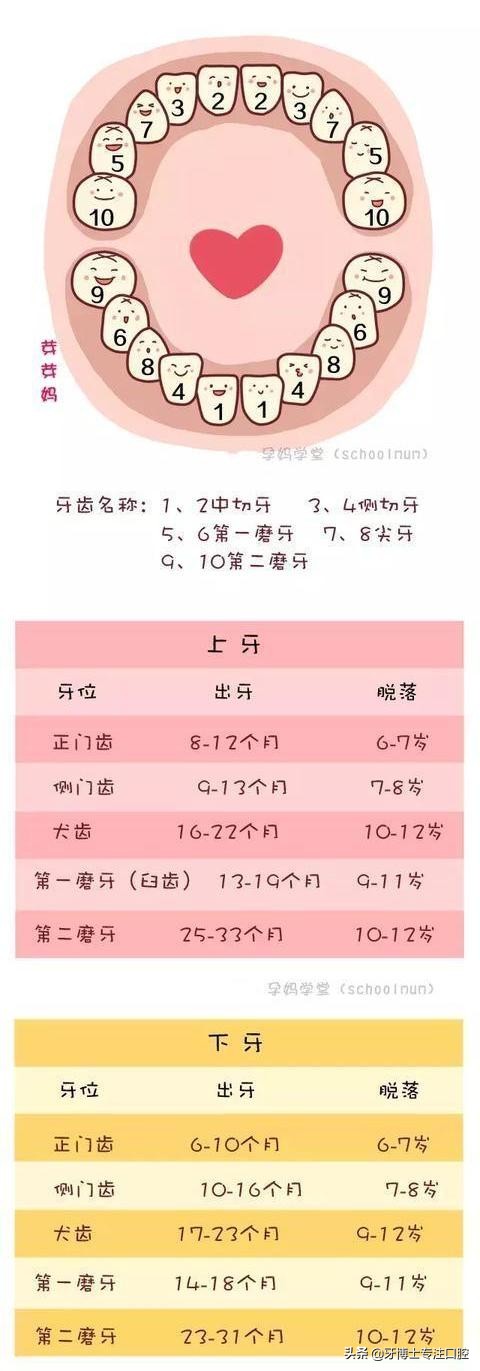 小宝换牙之前牙齿很小很整齐,宝宝牙齿不整齐换牙后会好吗