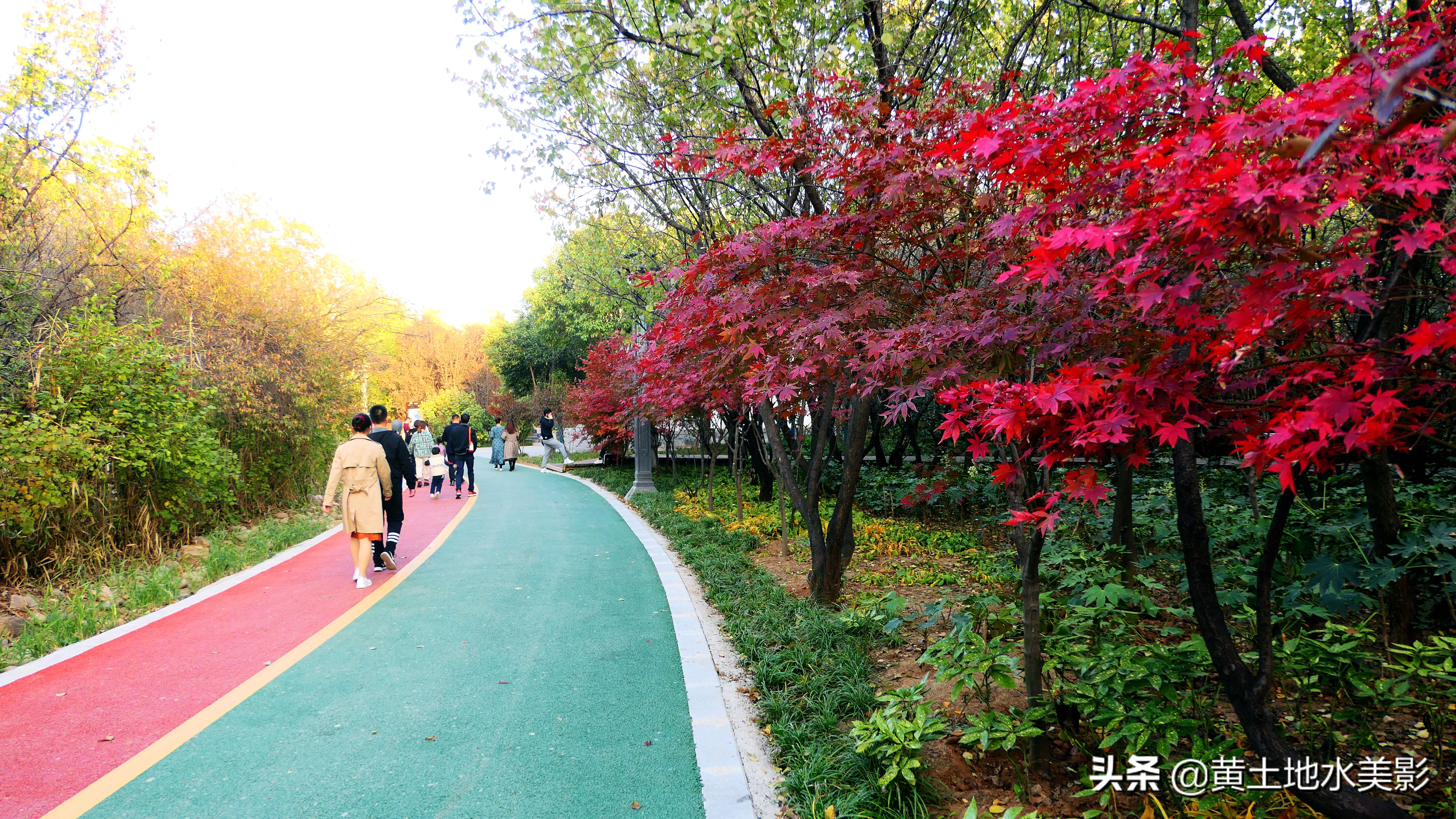 占地590亩的湿地公园,野生动物比较多的旅游景区