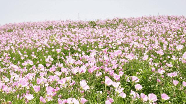 长沙五一打卡游玩,长沙旅游打卡攻略