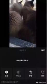 用这几个抖音短视频的工具，你就是下一个网红