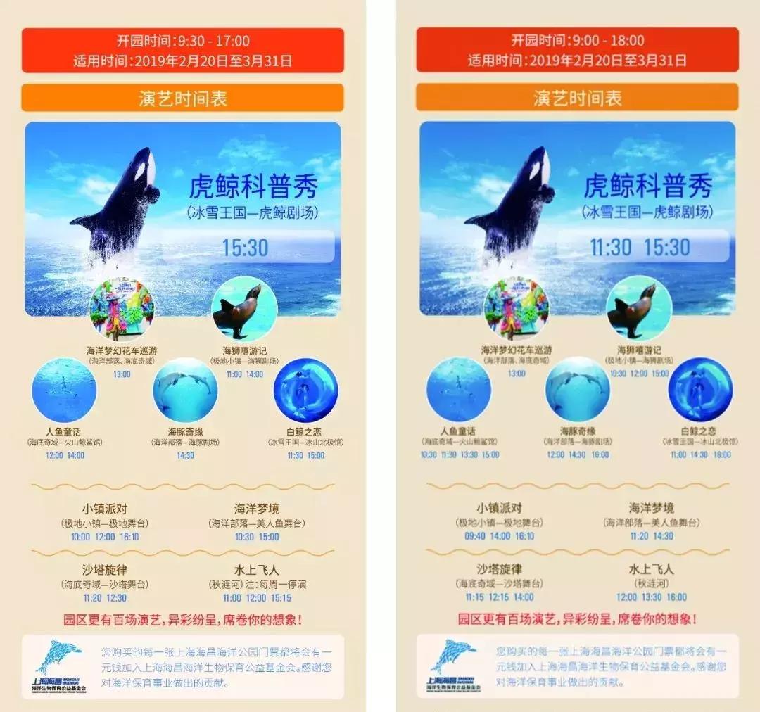 海洋馆的海洋动物表演,小孩子看的海洋动物视频
