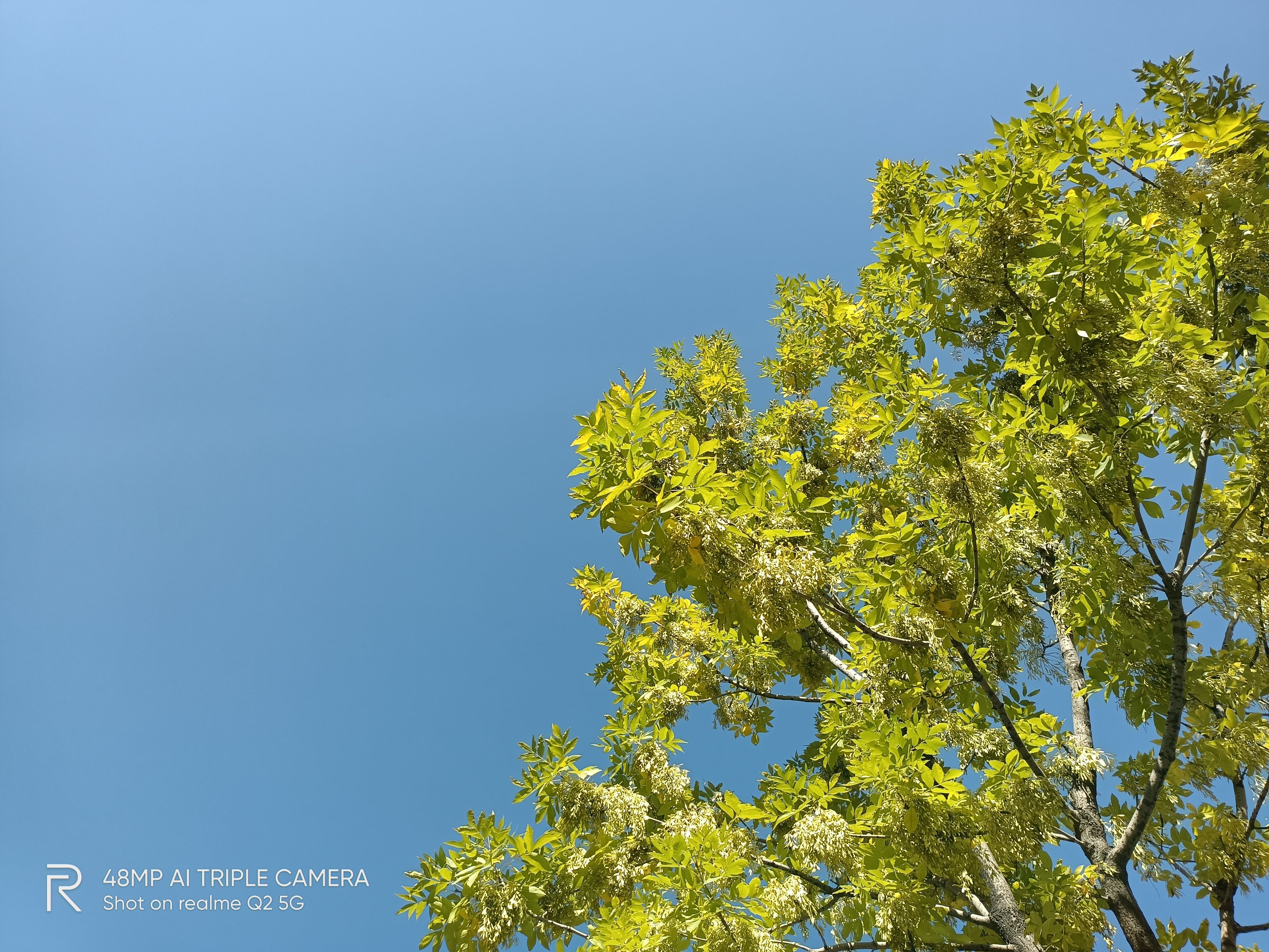 realmeq2线下多少钱,realmeq2最低价