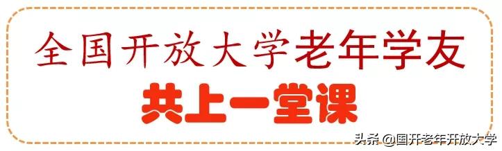 老年大学插花教程,创意插花课