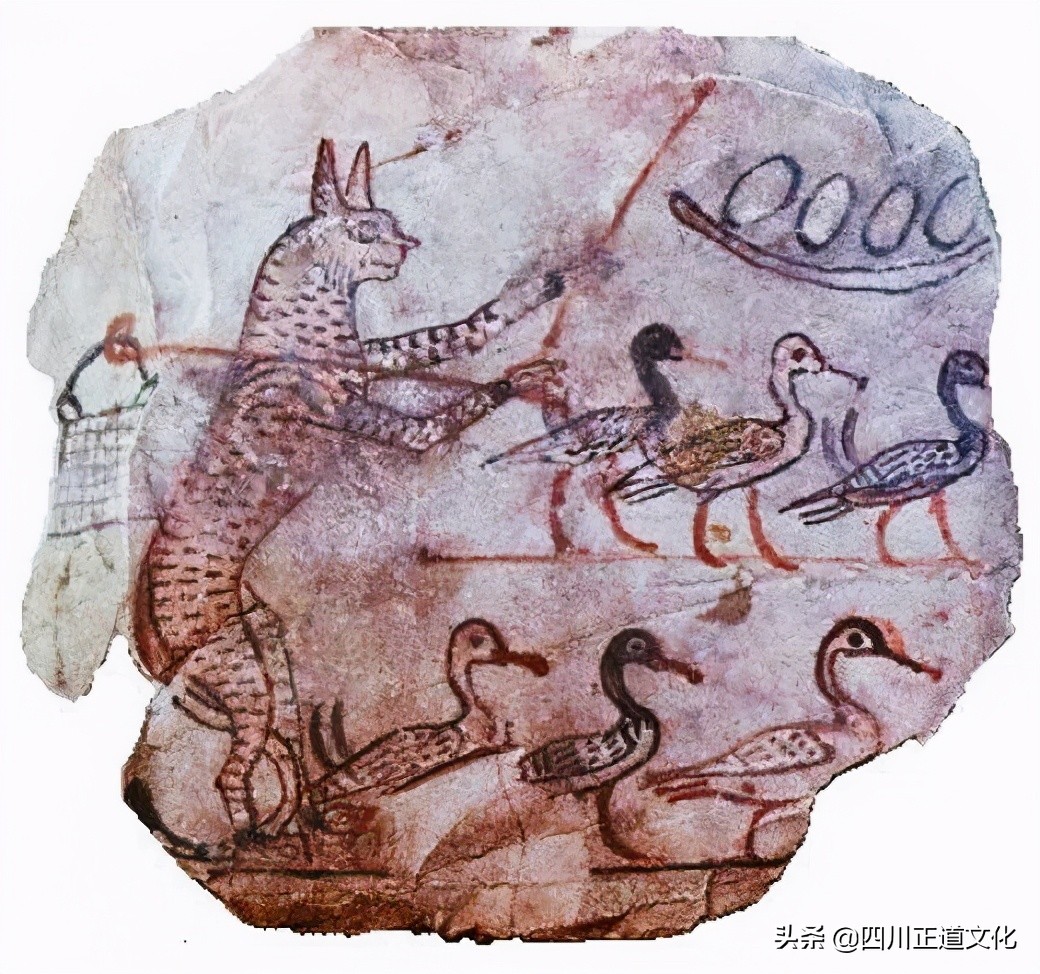 猫的故事高清图片,盘点猫的曾经故事