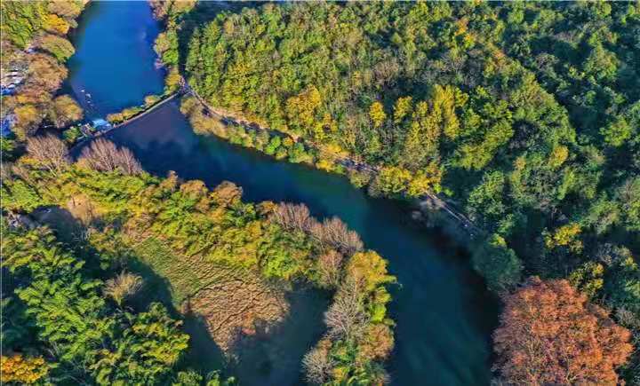 和陌生人线下聊天,与本地陌生人聊天