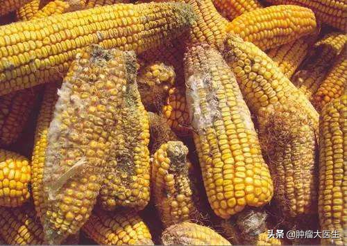 鑲濈檶鑳屽悗鐨勬渶澶х湡鍑剁珶鐒舵槸,鑲濈檶缃瓉绁搁灏卞湪浣犵殑鍘ㄦ埧
