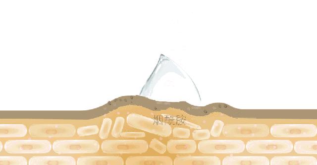 坚持涂身体乳还是很干,坚持涂身体乳二十年