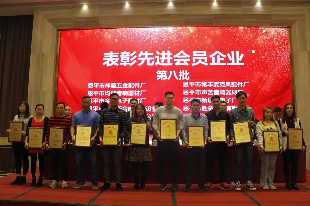 恩平电声行业协会成员,恩平协会