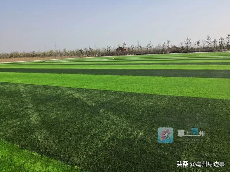 亳州足球场建在哪里,亳州体育公园足球场免费开放时间