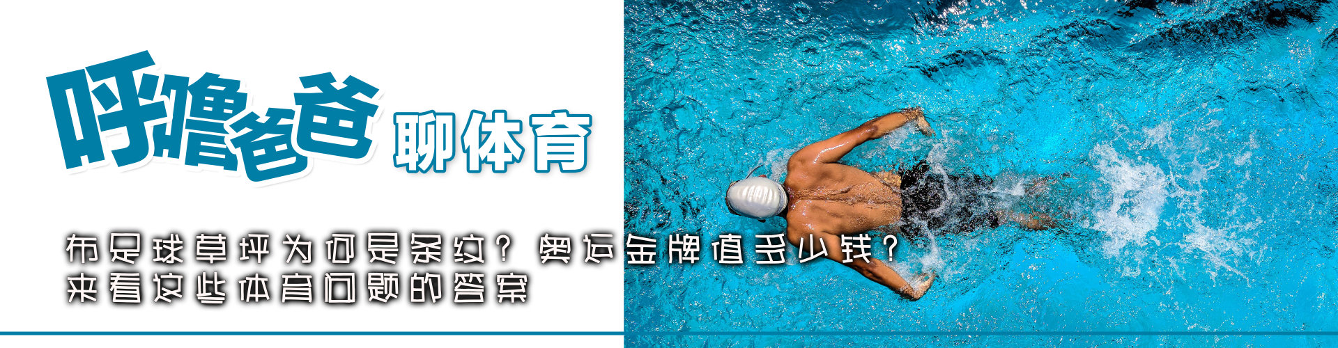 足球草坪为什么是方格子,足球草坪是怎么出来的