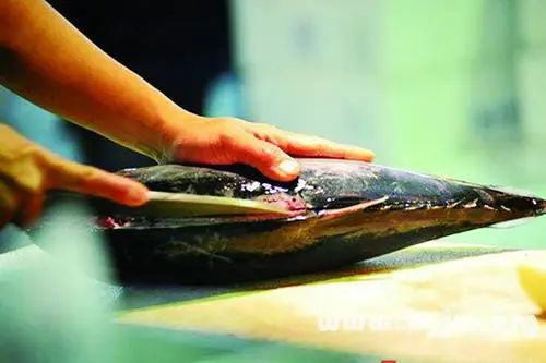 现杀鱼怎么做才好吃,怎样杀鱼才又好又快