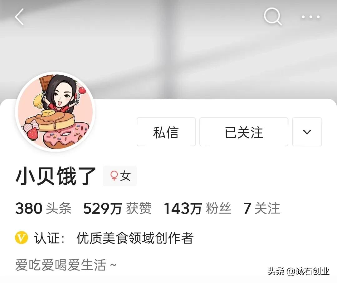 美食自媒体前十名,美食自媒体创业视频教程