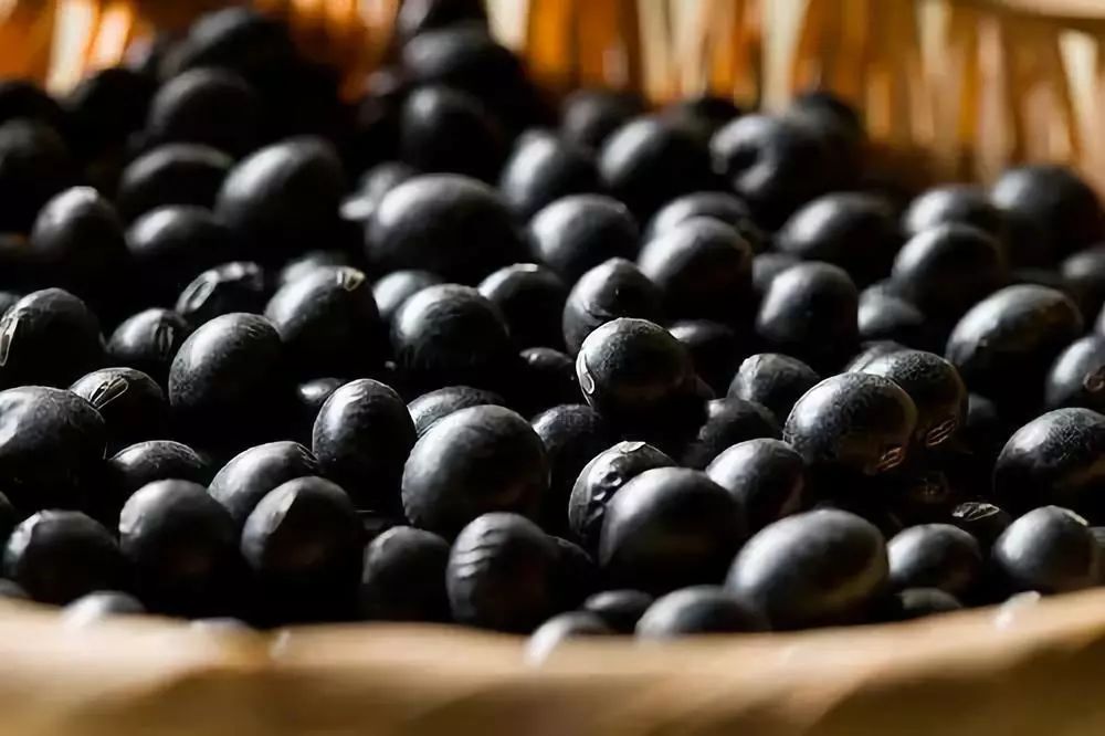 五谷杂粮储存方法面包,五谷杂粮储存方法推荐