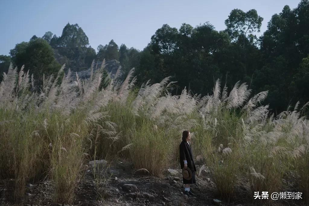 不占便宜是教养人情往来是修养吗 (不占小便宜是教养人情往来是修养)